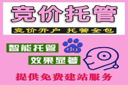 360信息流广告投放的优化与调整案例
